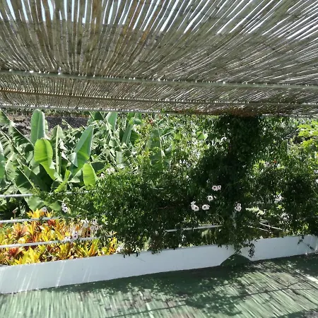 Casa Banana